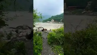Monsoon Vibes 😍 #shorts #rishikesh