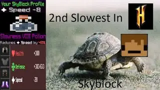 The 2nd Slowest Man In Hypixel Skyblock