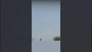 Airplane almost hit by a rocket