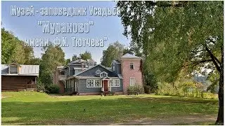Museum-reserve Estate 