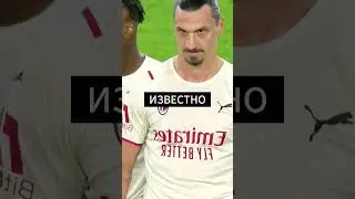 They're afraid of him! 