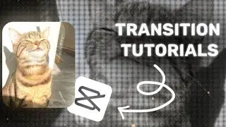 EASY TRANSITION TUTORIALS! -CAPCUT-