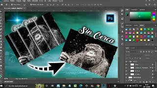 Como quitar un alambrado o una serca a una imagen en Photoshop