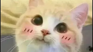 Рисую себя 🌿💗 ^^