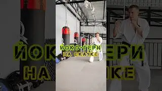 🔥Йоко на скачке | Bruce Lee Side Kick Tutorial #BruceLee #kungfu  #karate #kyokushin #киокушин #mma