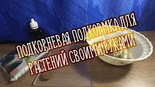 Подкорневая подкормка для растений своими руками