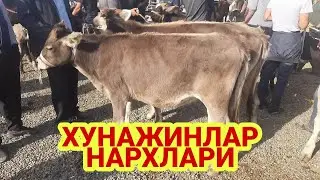 АНДИЖОН АСАКА МОЛ БОЗОРИ ХУНАЖИНЛАР НАРХЛАРИ 2021 ANDIJON ASAKA UZBEKISTON MOL BOZORI XÒNAJIN NARXI