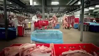 İşte Jelibonun Gerçek Yapılışı - Jelibon Nasıl Yapılır? - (evre evre)