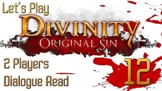 Let's Play: Divinity Original Sin - Part 12