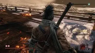 Emma and Isshin Ashina (Shadowrush) Sekiro