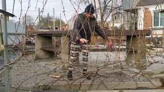 ☑️Как заменить рукава при Осенней обрезке куста ВИНОГРАДА на плодоношение.