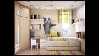 Pov:мой школьный день #мем #коты