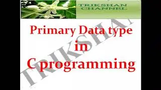 Primary data types in C programming