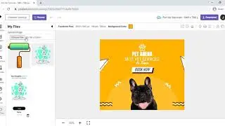 How to export svg from Illustrator