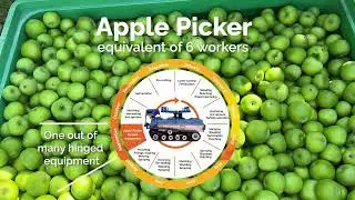 Apple Picker