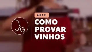 Aula 1 - Como Provar Vinhos: Beber, Apreciar e Degustar
