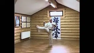 #karate #kyokushin #martialarts #iko #kww #yakunin #hanshi