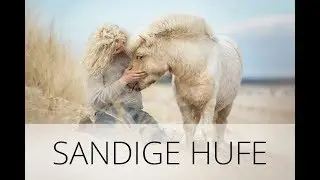 Sandige Hufe / Fotografen Meet-Up