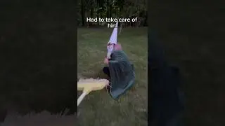 I found a Gnome in my Garden! 