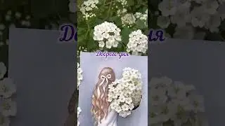 Доброе утро!