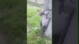 Ай ида мусафеди акорачи надидам