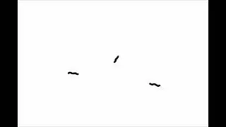 Appear