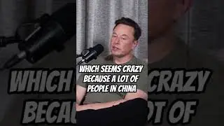 Elon Musk & NELK on China's Economy Collapsing