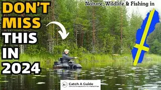 Watch THIS Video BEFORE planning your next FISHING Trip to SWEDEN!