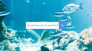 Why Do Divers Have 2 Regulators? | Answered | @simplyscuba