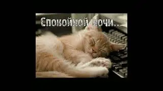 Доброй ночи!!! Сладких снов!!! 🌌🌌🌌