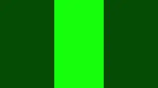 Duck Running Around - Green Screen