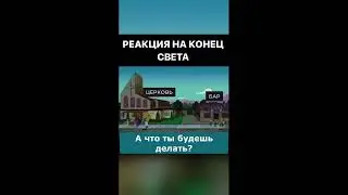 Реакция на конец света 