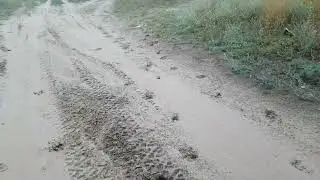 Следы оленей в поселке