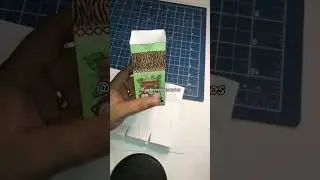 Preparativos do aniversário, tema Safari part. 2