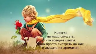 Самого главного глазами не увидишь    Маленький принц цитаты