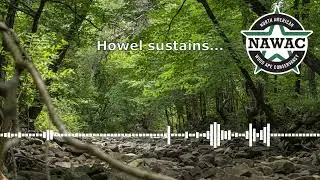 NAWAC Bigfoot/Sasquatch Audio Recordings: Area X, Long Howl
