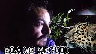 ESTURRO DA ONÇA.TIVE QUE CORRER  FUI PERSSEGUIDO NA MATA POR ONÇA