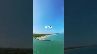 Día uno a bordo del MSC Seashore 🛳️