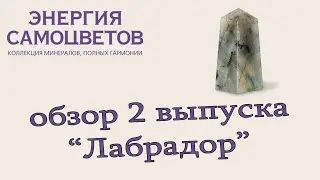 Коллекция 