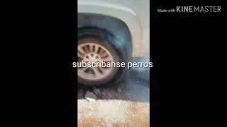 La paloma