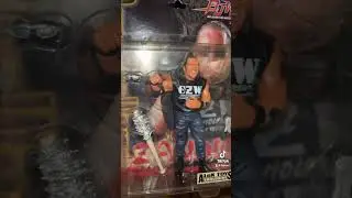 Zandig #wwe #wwewrestler #allwrestlingfigures #wwesuperstar #toys #wwefigures