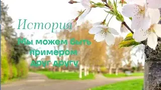Мы учителя друг другу