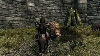 Feed the Bear!