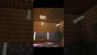 When You Trade With The Wrong Villager in Minecraft... 