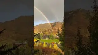 Golden morning view from our #Aspen hotel 🍂🌲