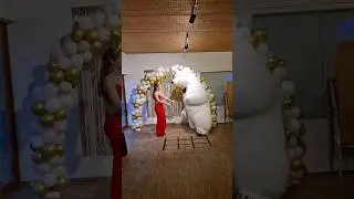 Малинки Малинки такие вечеринки