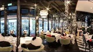Pino's Pandamie in Frankfurt - 360 Grad - Fotos sponsored by cleverly und Point of Profit