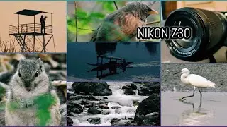 Nikon Z30 Mirrorless DSLR Camera Dual Lens Kit Unboxing with Sample Pics