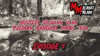 Menguak Misteri Sosok Siluman Ular Di Hutan Belantara