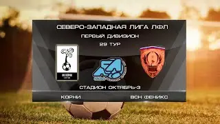 Корни 0:1 ВСН-Феникс | Первый дивизион 2022 | 29-й тур | Обзор матча